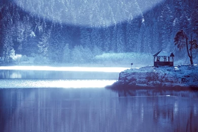 30 Winter Forest Wallpapers Pictures