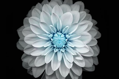 Download Wallpaper: Http://goo.gl/ag72U9 Ac92 wallpaper apple ...