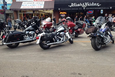 Bill & Barbs Awesome Adventure