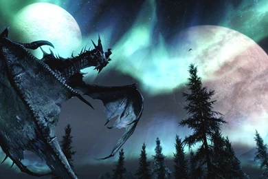 The Elder Scrolls V   Skyrim Dragon HD Heavenly Wallpapers Free HD ...