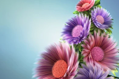 Flowers Desktop Wallpapers Free Download – 1366×732 High ...