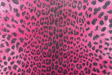 Pins For: Glitter Animal Print Wallpapers From Pinterest