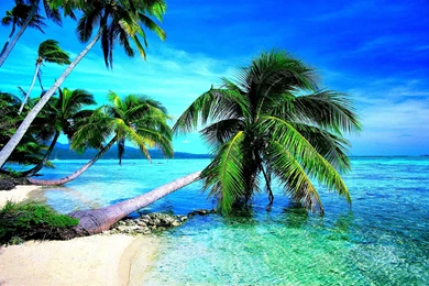 Tropical Beach Wallpaper.