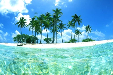 Tropical Island