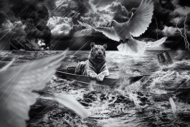 1366x768 Tiger In Boat Desktop PC And Mac Wallpapers