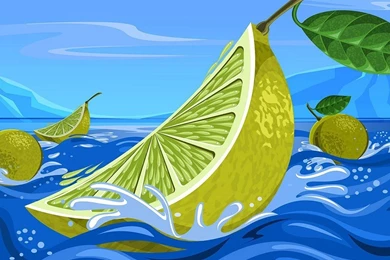 Lime Wallpapers   Wallpapers HD Fine