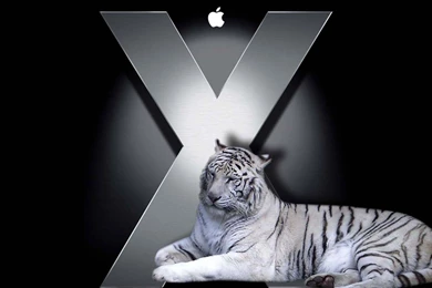 Tiger Mac Hd Wallpapers   (