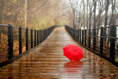 Lovely Rainy Day Wallpapers For PC