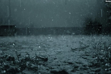 Beautiful night rainy day wallpaper.jpg