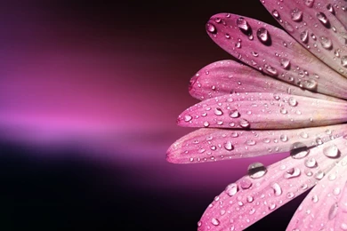 Beautiful Hd Wallpapers