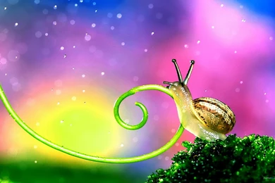 Beautiful Wallpapers Hd