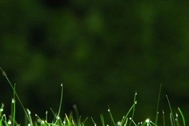 Nature Wallpapers For Mobile HD   Wallpapers Zone