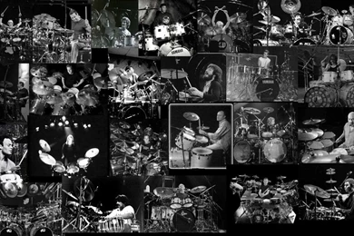 Drummer Wallpapers   Wallpapers Cave