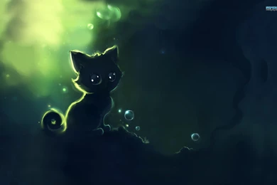 Cat Wallpapers HD 6936   Amazing Wallpaperz