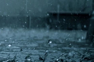 Download Free Wallpapers Rain Drops With Size 640x960 Pixels For IPhone