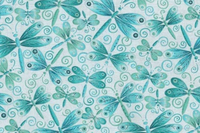 M5218_white Backgrounds W/teal Dragonflies
