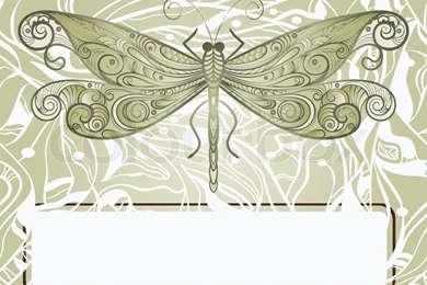 Vector Hand Drawn Beautiful Dragonfly On Abstract Backgrounds ...