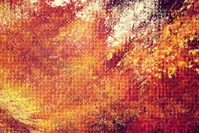 20 Autumn Wallpapers For Your Android