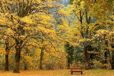 Autumn Wallpapers ~ Atoz Desktop Wallpapers