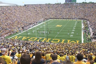 Tattoos Flower: University Of Michigan Football