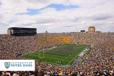 Stars And Slights: September 2008