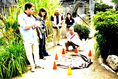 Dexter Morgan Debra Vince Masuka Angel Fish