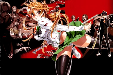 Image 6962 Highschool Of The Dead Hd Wallpapers Anime Girls.jpg ...