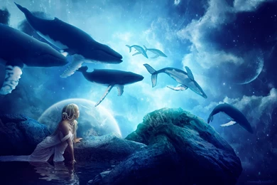 Whales Dream Wallpapers