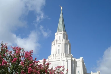 Houston Texas LDS (Mormon) Temple Photographs Page