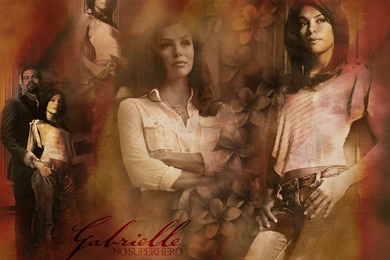 Desperate Housewives   Desperate Housewives Wallpapers (302280 ...