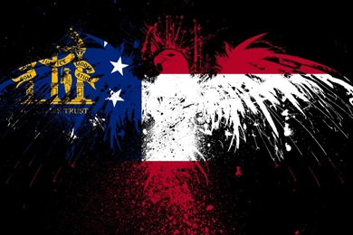 Georgia Eagles Hawk Flags Usa State Wallpapers