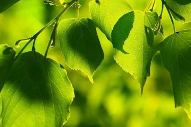 Download Hd Wallpapers Create Wallpapers Cell Phone Make Own Unique ...