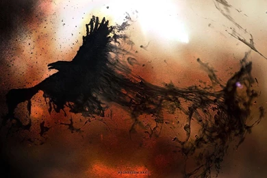 29 Raven HD Wallpapers
