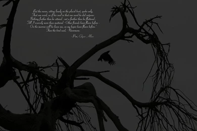 The Raven Wallpapers By KOhm On DeviantArt