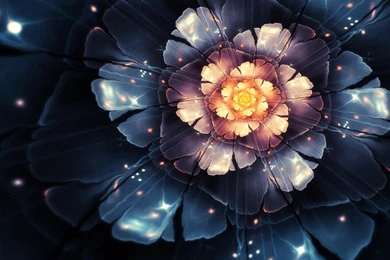 Fantasy Flowers Live Wallpapers   Android Apps And Tests   AndroidPIT