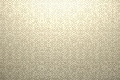 Plain Background Images