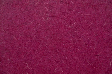 Plain Background Images