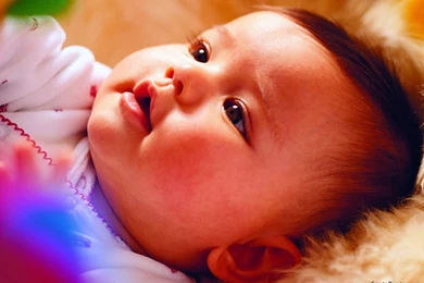 Cute Baby Wallpapers