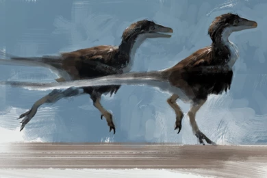 Dinosaur Computer Wallpapers, Desktop Backgrounds