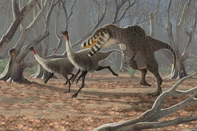 Dinosaur Computer Wallpapers, Desktop Backgrounds