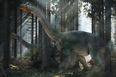 Dinosaur Computer Wallpapers, Desktop Backgrounds