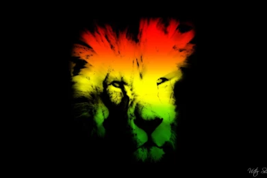 Rasta Lion Wallpapers   Wallpapers Cave
