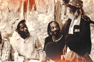 Snoop Dogg Rasta Reggae Lions Lion Album Wallpapers