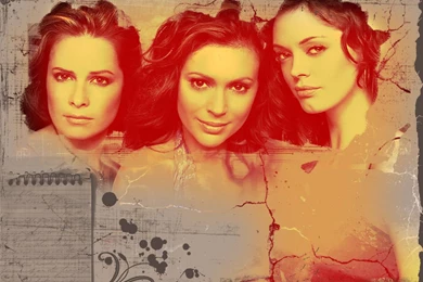 Wall   The Girls Of Charmed Wallpapers (858232)   Fanpop