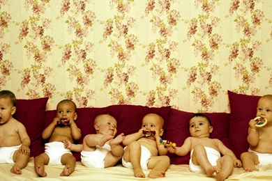 Photo :: Funny Babies Wallpapers