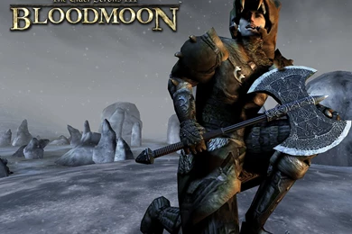1 The Elder Scrolls III: Bloodmoon HD Wallpapers