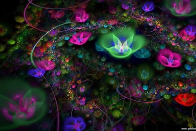 Best Computer Wallpapers