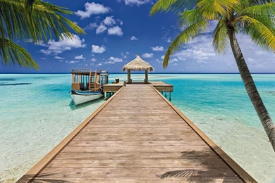 Photo Wallpapers Wall Mural Beach Resort 368x254cm Paradise Komar