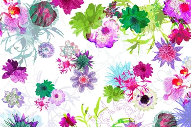 Imagine Vol. 14: 8 911 By Komar   Catalogue