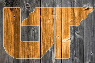 iPhone   iPhone 4 Wallpapers Thread   Wood Only